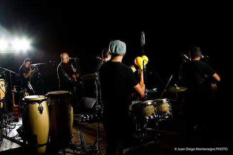 Percusionista de espaldas frente al grupo en el escenario